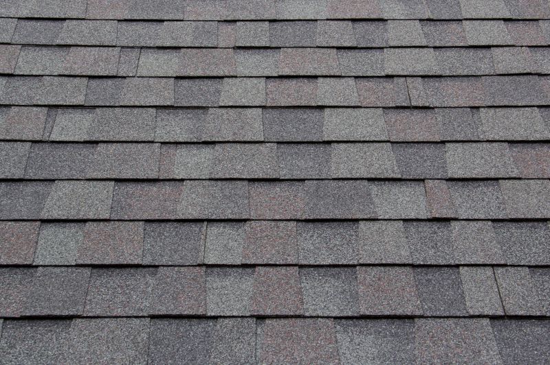 Asphalt Roofing Service in Worcester, MA