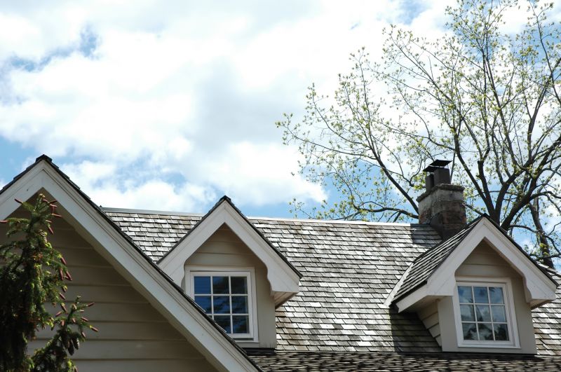 Cedar Roof Replacement in Alexandria, VA