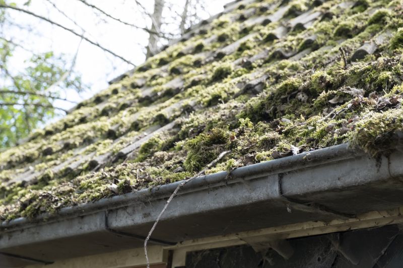 Roofing Maintenance Tips That Extend Roof Lifespan