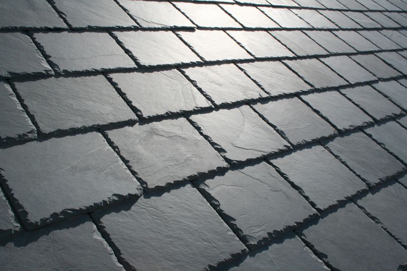 Slate Roof Replacement in Alexandria, VA